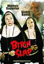 bitch-slap-cards6.jpg