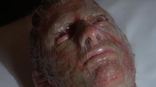 Invasion of the Body Snatchers (1978)