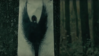 Still from the trailer for Moth